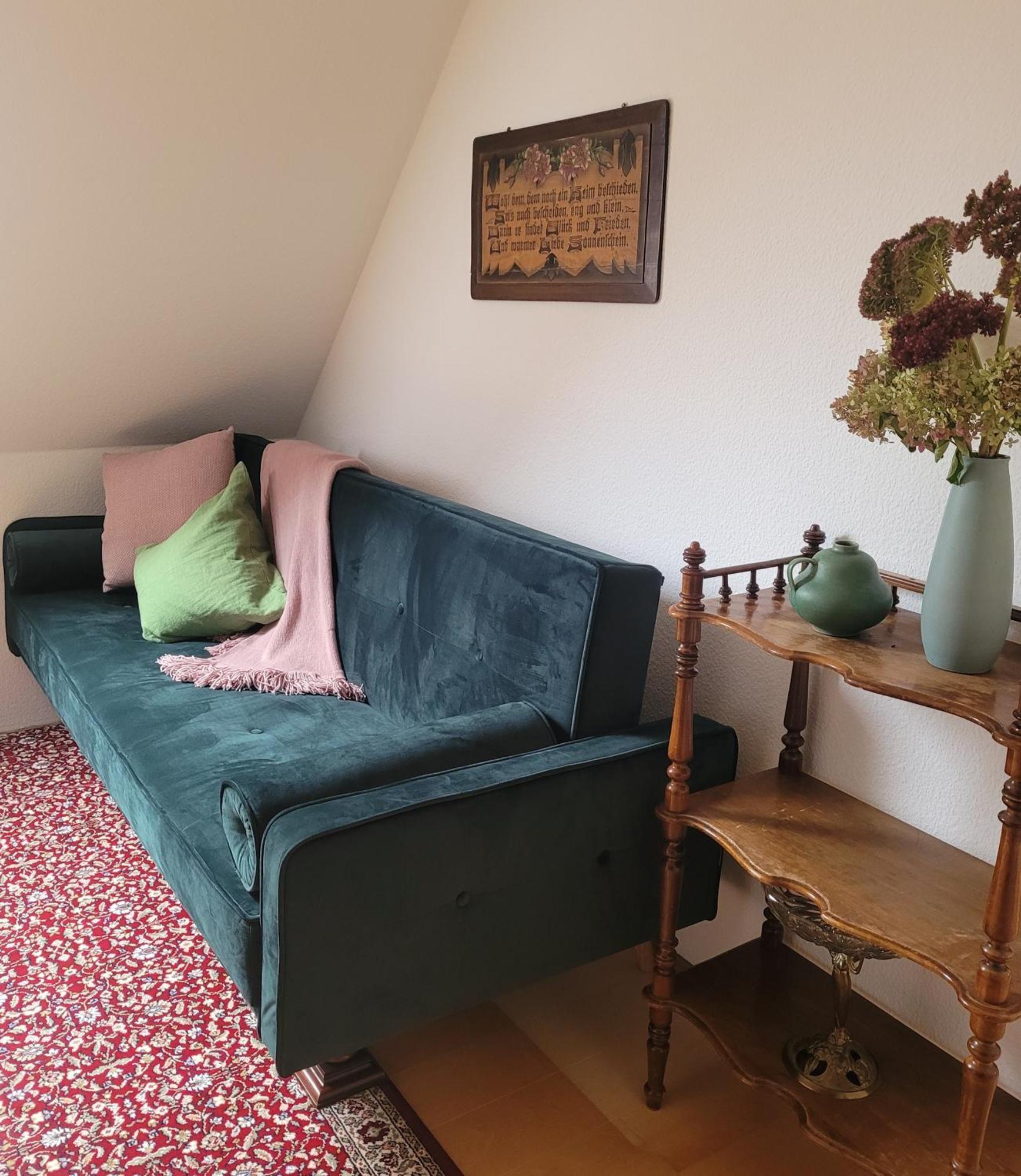 Fewo Weitblick In Hoehenlage Von Greiz Luaran gambar